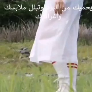 للطلب عبر واتساب ✍️